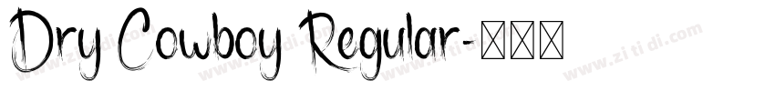 Dry Cowboy Regular字体转换